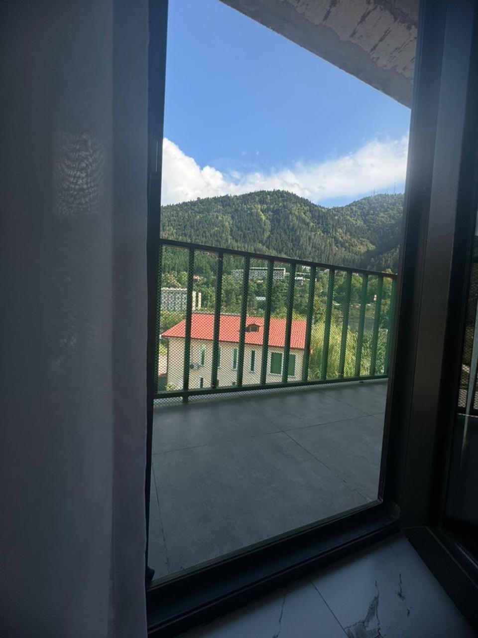 New Apartments In 博尔若米 客房 照片